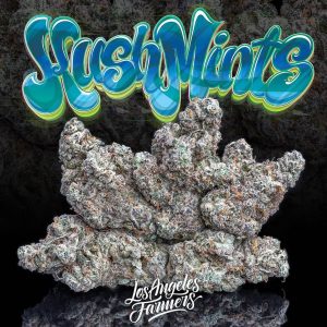 Buy Kush Mints Strain Online