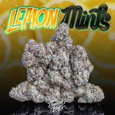 Lemon Mints Weed