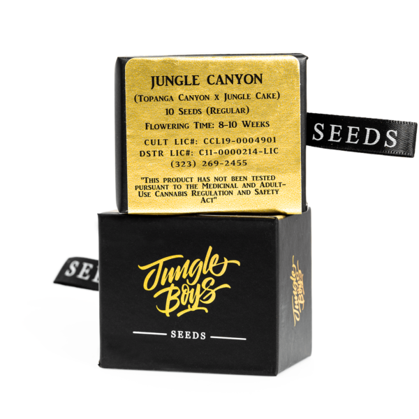 Jungle Boys Jungle Canyon Seeds