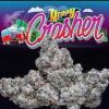 HIPPY CRASHER STRAIN