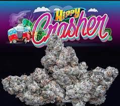 HIPPY CRASHER STRAIN