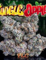 JUNGLE APPLES WEED