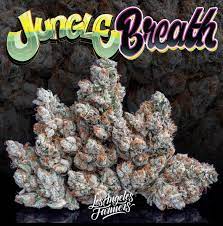 Jungle Breath Strain