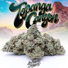 TOPANGA CANYON STRAIN